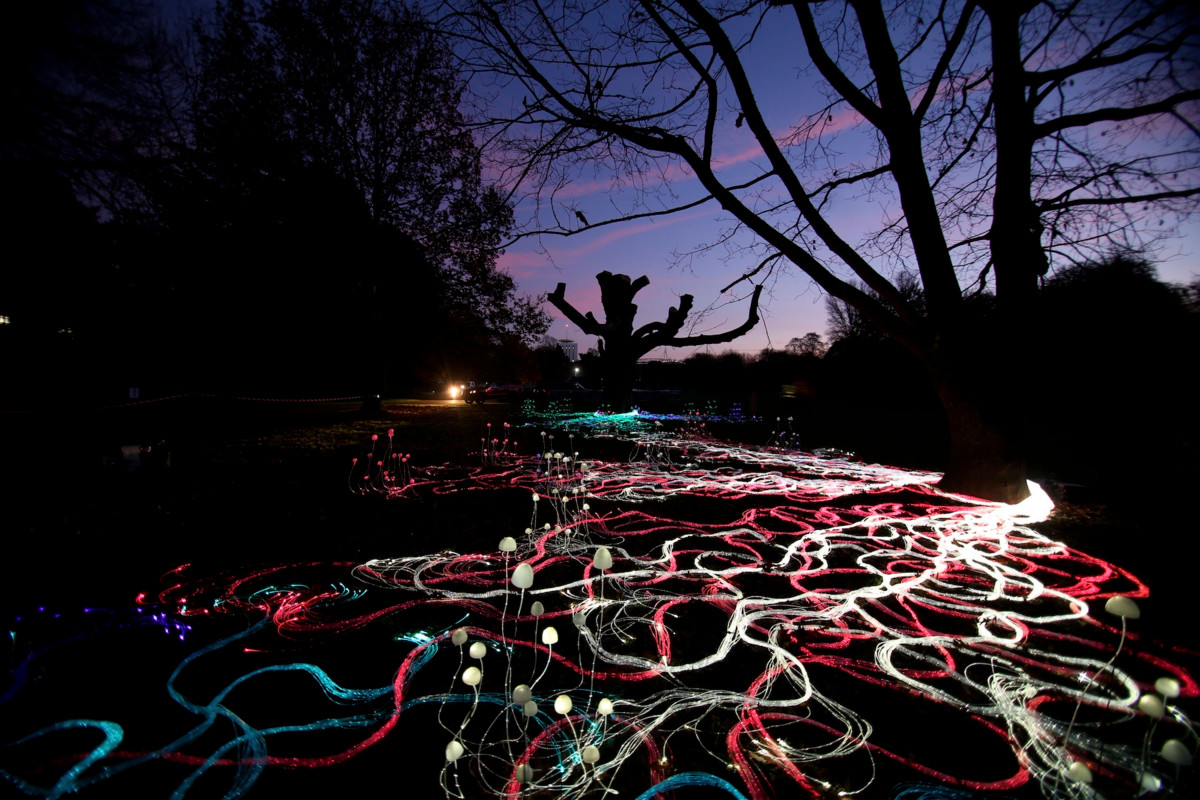 Stevie Thompsonin valotaideteos Mycelium Network nähdään Helsingissä 6. tammikuuta alkaen.