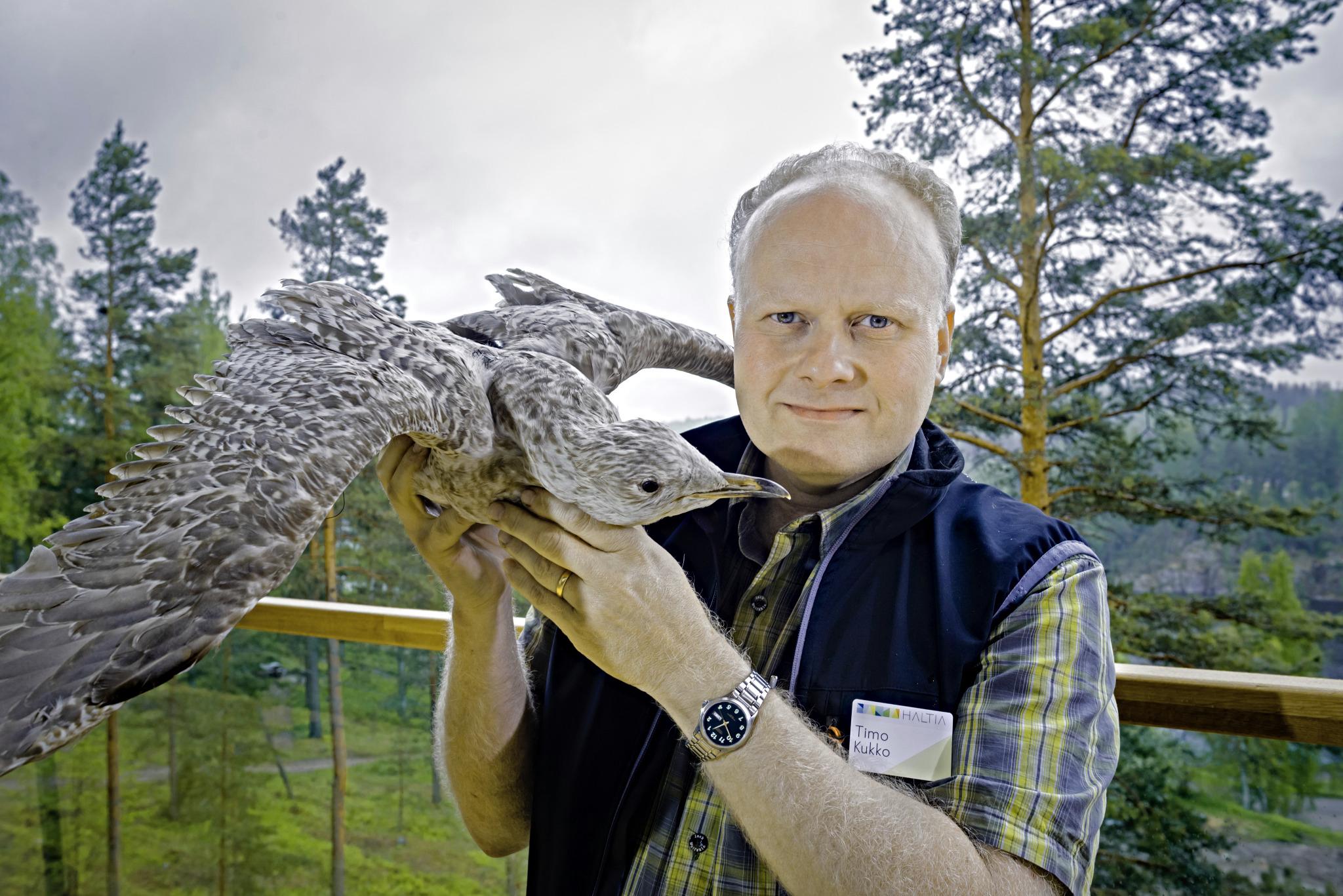 Nuuksion uutuus. Timo Kukon johtama Suomen luontokeskus Haltia tuo luontokappaleet kävijän lähelle. Kuva: Hans von Schantz