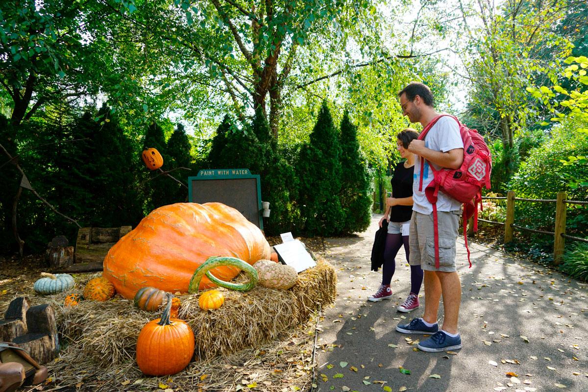 Yli 635 kiloa painava jättiläiskurpitsa leveilee New Yorkin kasvitieteellisen puutarhan väliaikaisessa kummituskurpitsapuistossa. Halloween-juhlan ajaksi avatussa kummituskurpitsapuistossa on toista sataa erilaista variksenpelätintä ja tuhat poikkeuksellista kurpitsaa. Halloweenia vietetään anglosaksisessa kulttuurissa pyhäinpäivän aattona. Sen juuret ovat muinaisten kelttien sadonkorjuujuhlassa. Vanhan käsityksen mukaan tämän- ja tuonpuoleisen raja hämärtyy luonnon kuihtuessa ja lehtien varistessa. Silloin vainajahenget tulevat houkuttelemaan ihmisiä rajan toiselle puolelle. Niitä on karkotettu kokkotulilla, soihduilla ja lyhdyillä.