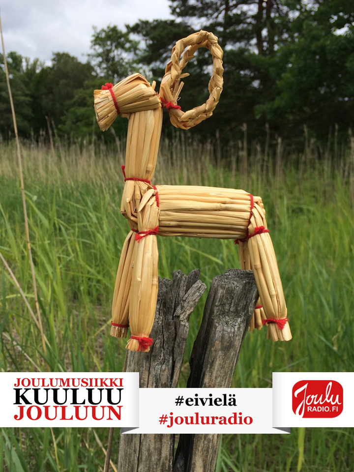 Kuva: Katri Saarela.