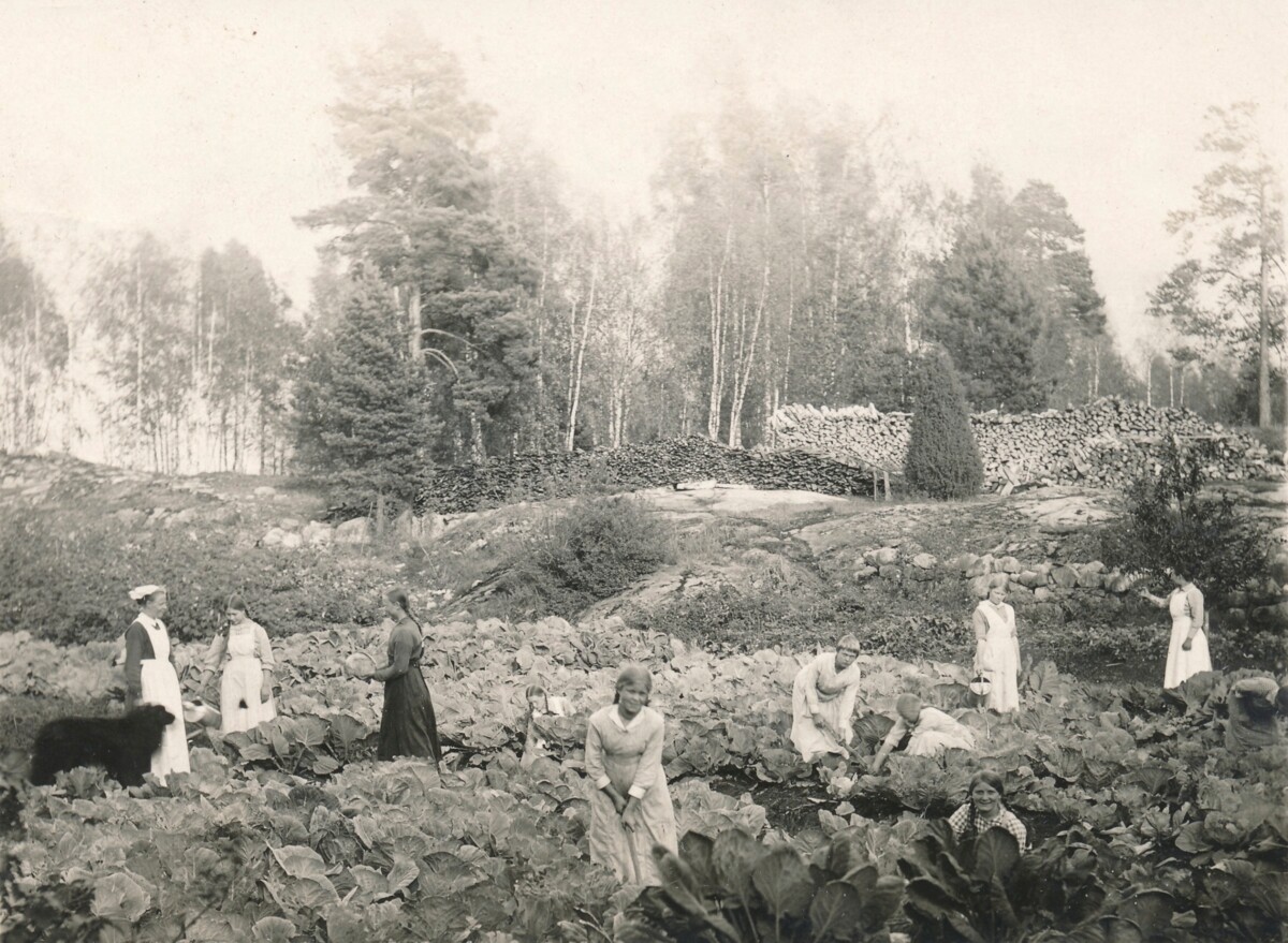 Diakonissalaitoksen kotitalouskoulussa Heponiemessä Karjalohjalla syrjäytymisvaarassa olevat tytöt saivat etsiä elämälleen suuntaa. Koulu oli toiminnassa vuosina 1916–1923. Kuva: Diakonissalaitos. 