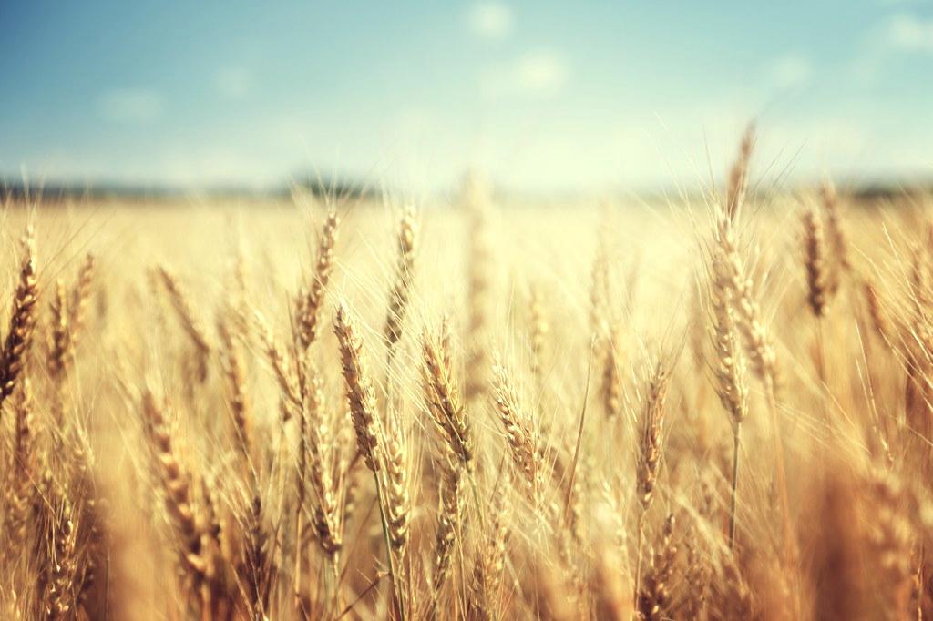 Kuva: Thinkstock