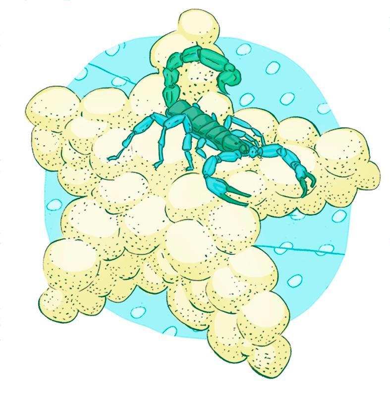 Psykoterapeutti Outi Salevan mukaan unet näyttävät myös elämän raadollisen puolen.