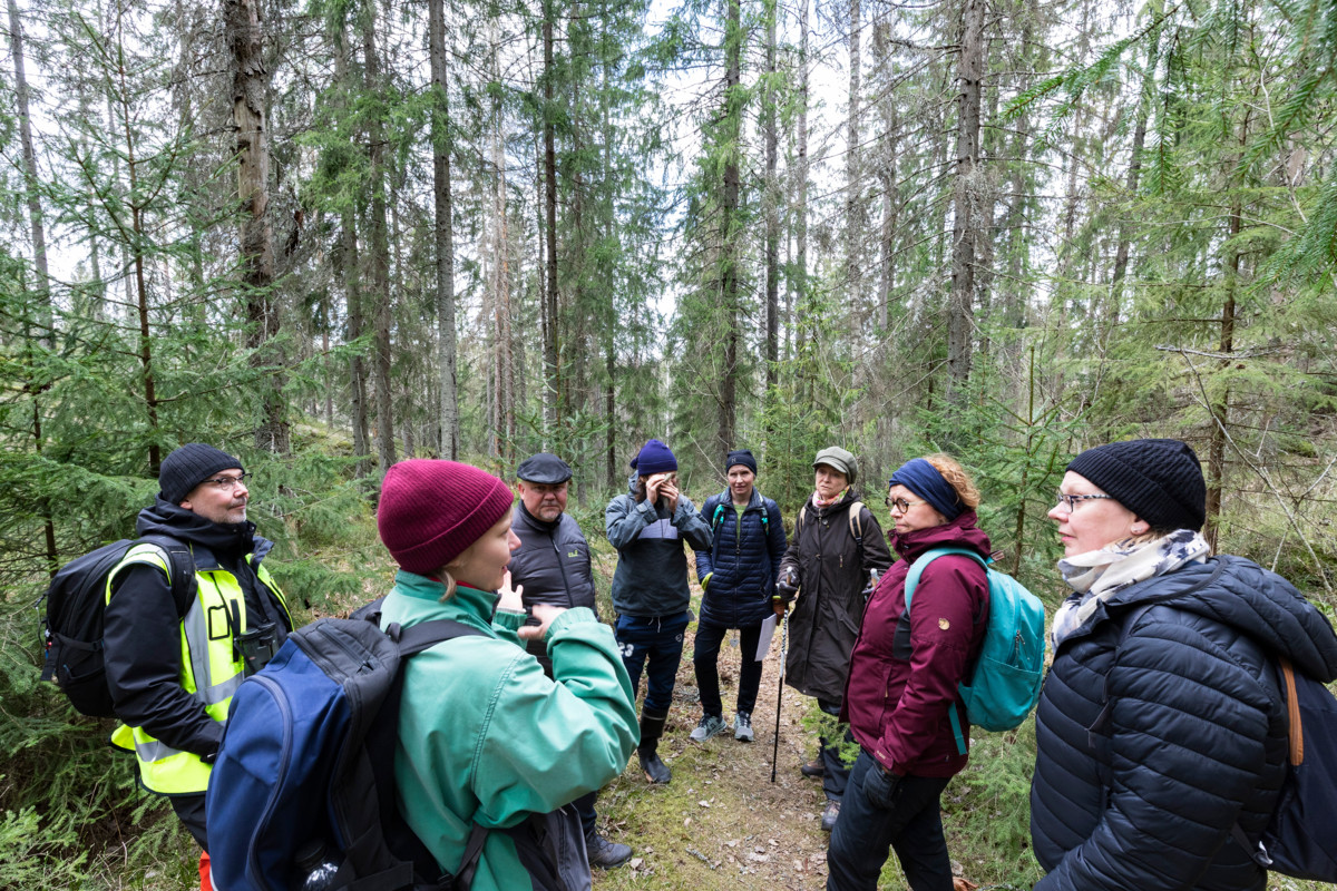 Viranhaltijoita, luottamushenkilöitä ja luonnonsuojelijoita tutustui Espoon seurakuntien omistamaan metsään Pohjois-Espoossa viime keväänä. Kuvassa taaimmaisena seisoo yhteisen kirkkovaltuuston jäsen Meri Löyttyniemi, etualalla viininpunaisessa takissa piispa Kaisamari Hintikka.