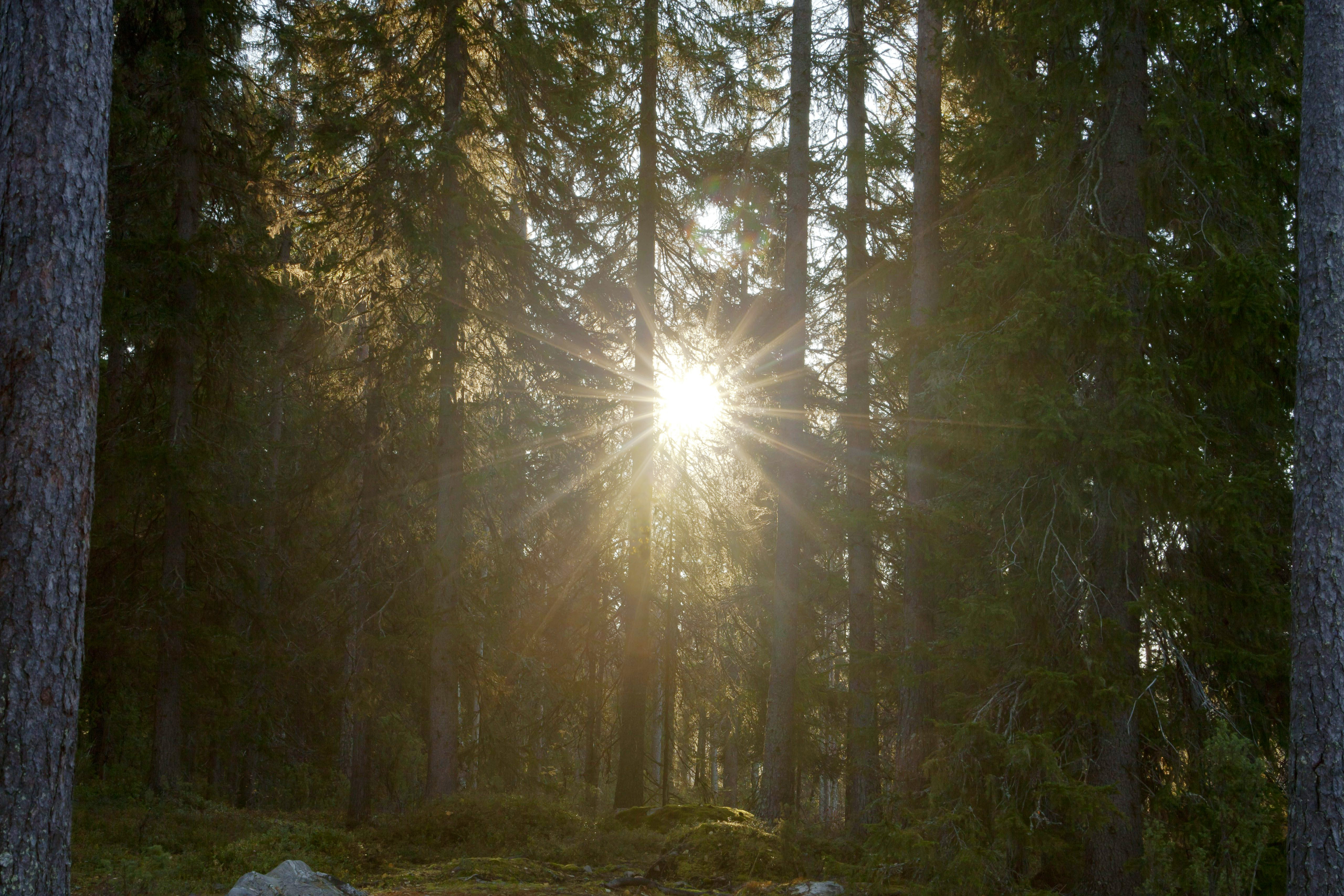 Vainajien hautauksessa on otettu huomioon auringonnousun suunnat jo pitkään.