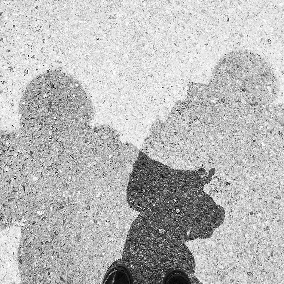 Luottamuksesta. Joku näkee hätäni ja tarjoaa suojan.