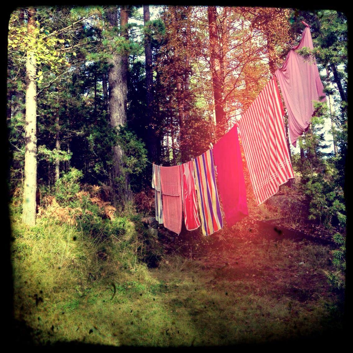 Kuva: Lotta Numminen