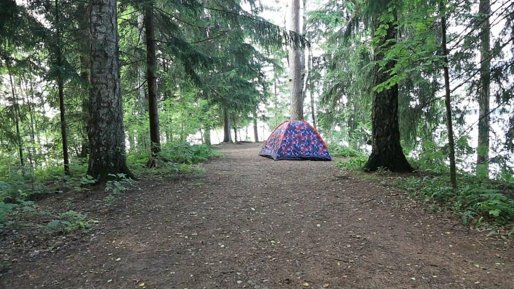 Verinen suku puoli video
