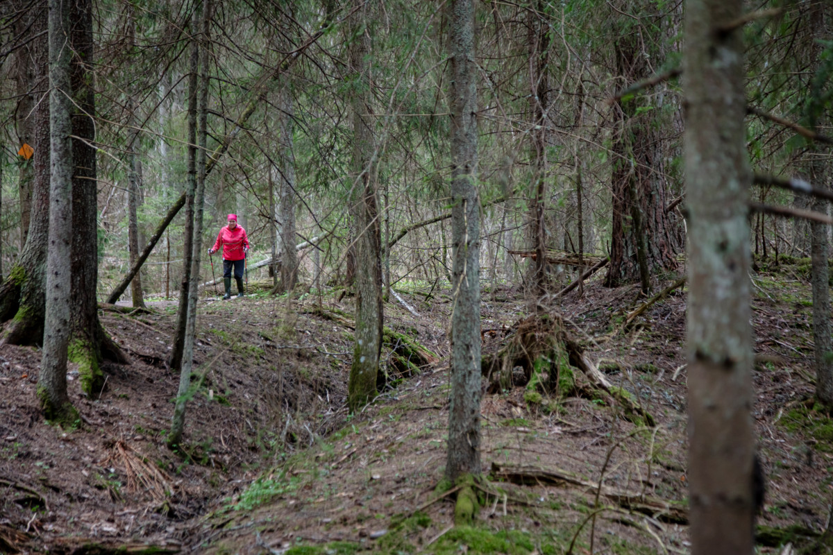 ”Aina tuijotetaan kuljettuja kilometrejä, mutta minulle niillä ei ole merkitystä. Luonto on ykkönen. Sen vuoksi ramppaan edelleen retkillä”, Raija Hentman sanoo.