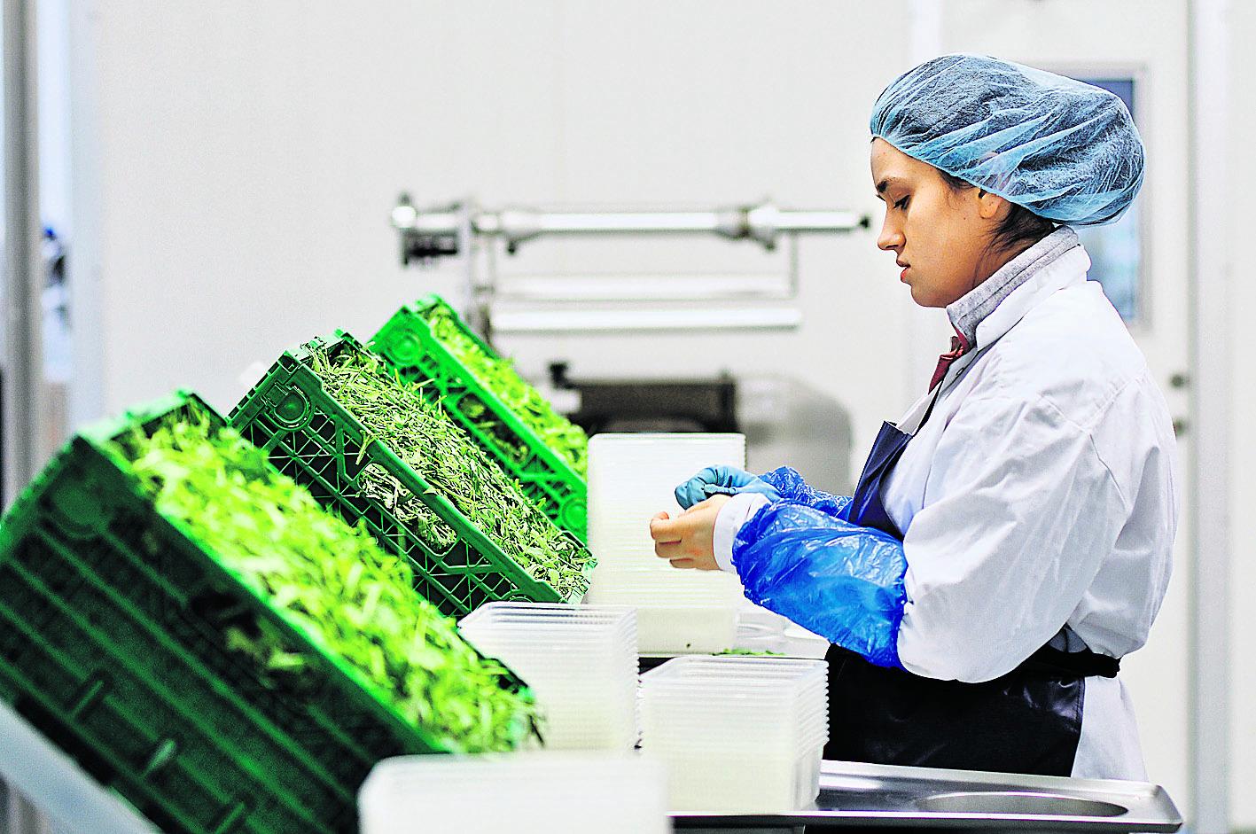 Nopeudesta huolimatta. Vihannespakkaajana työskentelevä Raša menettää työnsä. Perusturvallisuus horjahtaa pahasti.