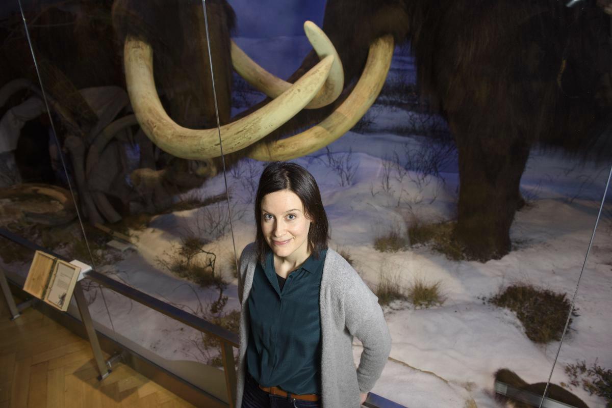 – Mammutit kuolivat sukupuuttoon edellisessä ilmastonmuutoksessa, kun jääkausi vaihtui lämpimämpään ilmanalaan, sanoo intendentti Laura Arppe. Kuva: Markus Sommers