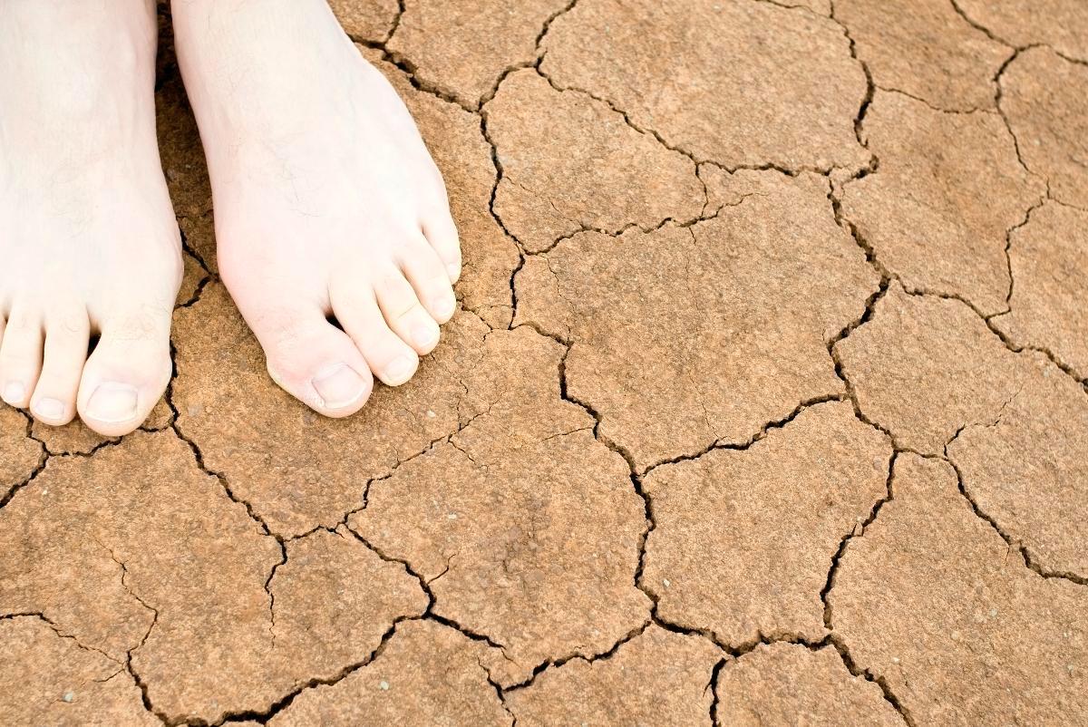 Mooses astui pyhälle maalle ilman kenkien suojaa. Kuva: Thinkstock