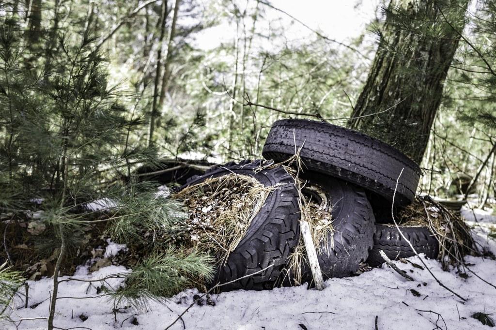 Kuva: Thinkstockphoto