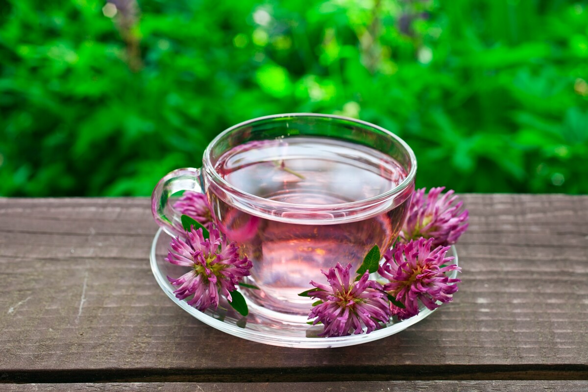 Puna-apila antaa väriä ja aromia niin kuumiin kuin kylmiinkin juomiin.