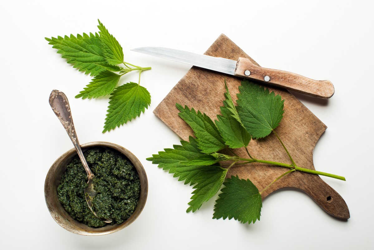 Nuorista nokkosista tulee maukas pesto.