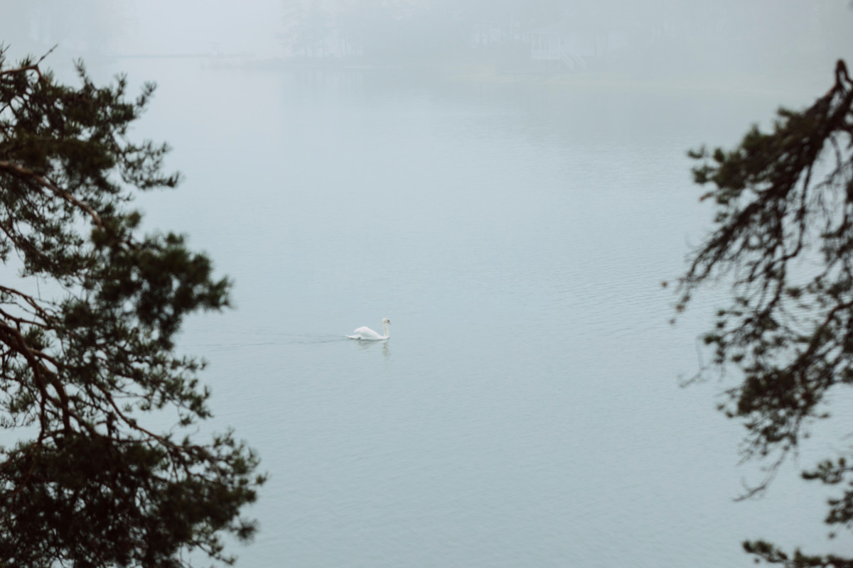 Tekijätiimi toivoo, että merikylässä vierailevat lapset oppisivat luontonäytelmän avulla lisää oman elinympäristönsä eläimistä. 