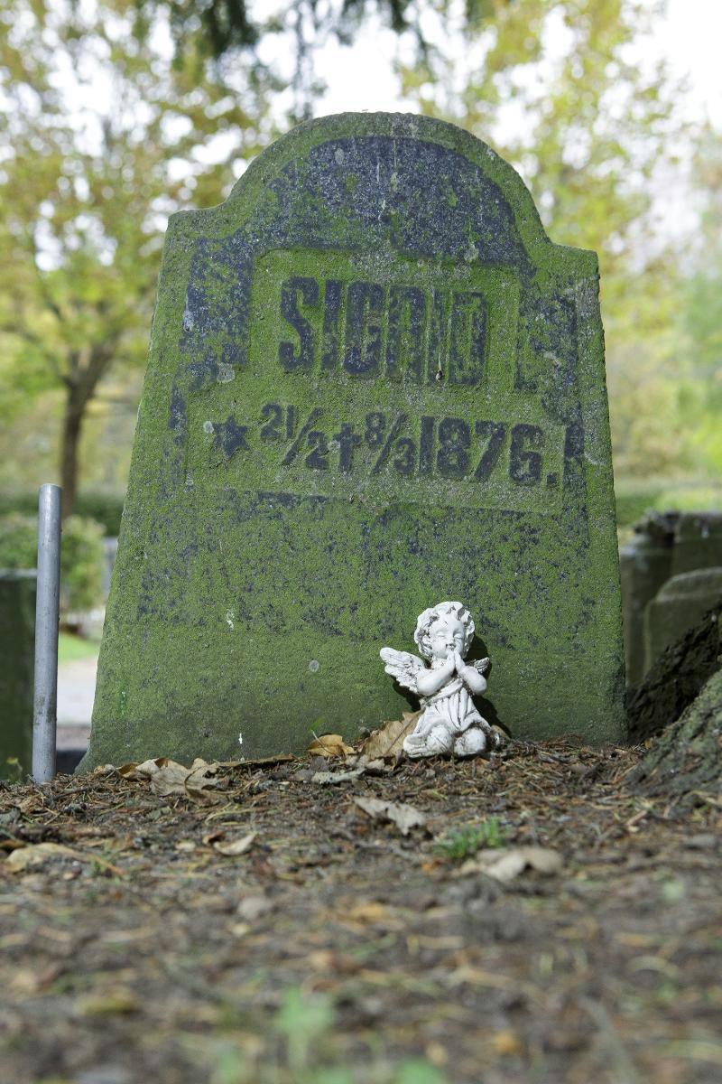 Kuka on Sigrid, joka kuoli vuonna 1876 parin viikon ikäisenä?. Kuva: Patrik Lindström
