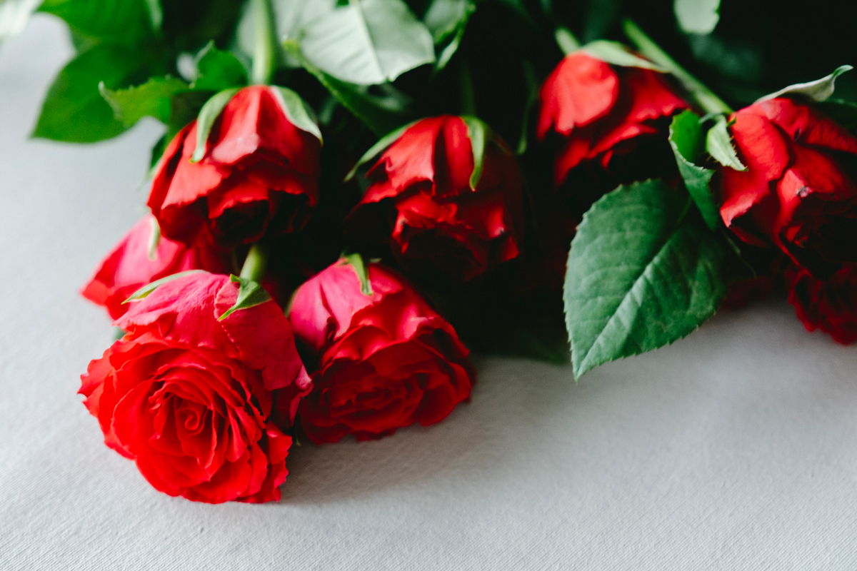 Ruusuissa suosituin väri on punainen. Reilun kaupan tiloilla työntekijöille maksetaan jokaisesta ruususta Fairtrade-lisä. Kuva: Antti Rintala