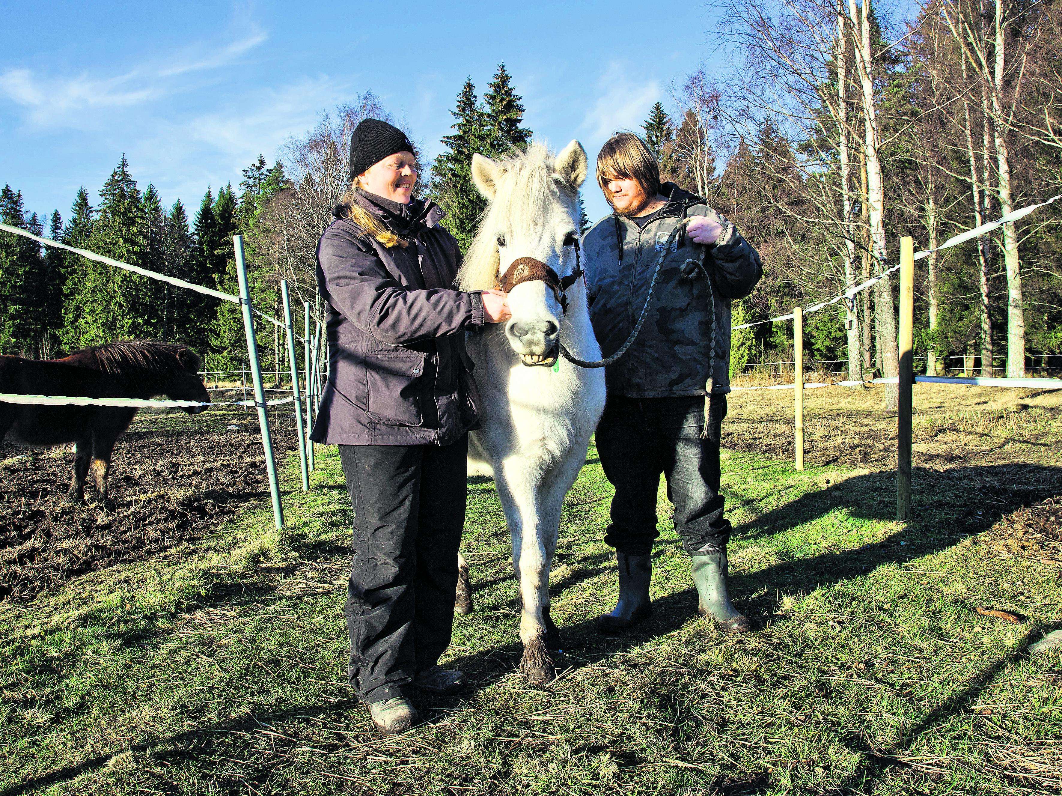 Lempeä opettaja. Islanninhevonen Hoksu on yksi Skatan seitsemästä hevosesta. Ville Salo osallistuu kuntouttavaan työtoimintaan, Merja Miettinen on tilan työntekijä.