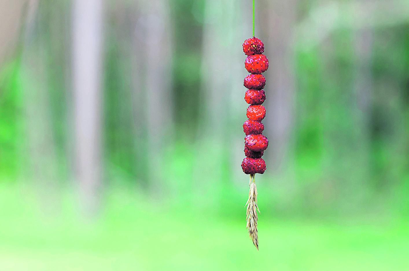 Makupala. Mansikat eivät auttaneet ikävään.