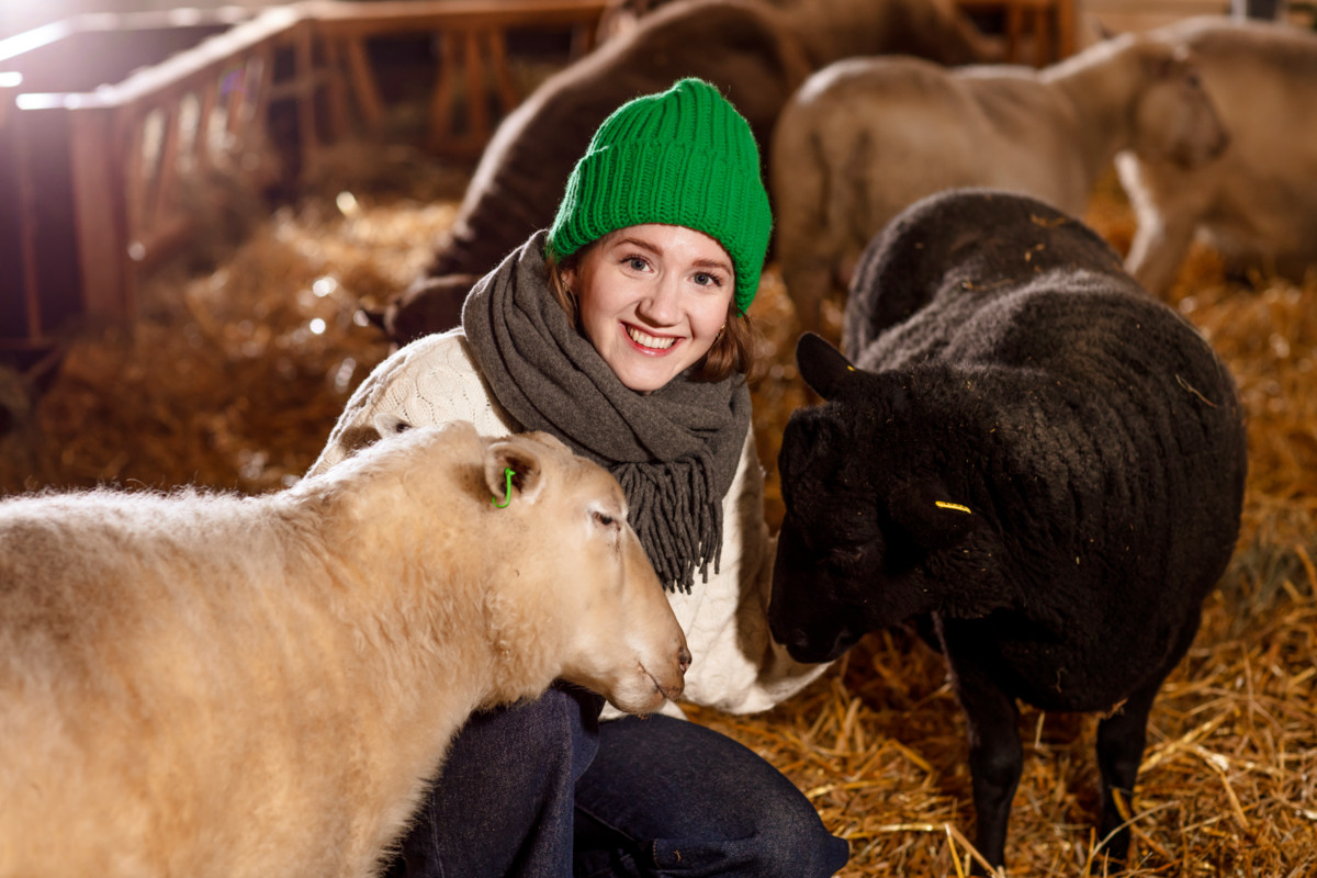 Joulu on ainoa juhlapyhä, josta meteorologi Anniina Valtonen pitää.