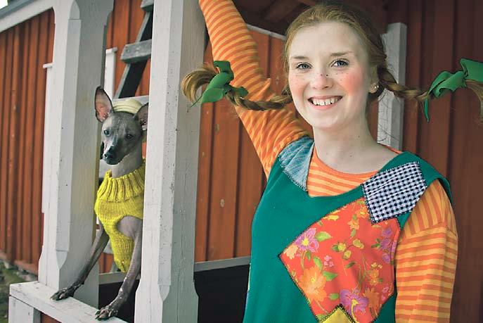 Herra Tossavainen onkin koira.