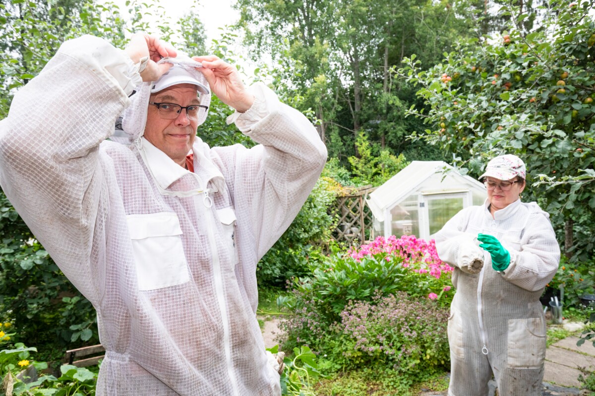 Panu ja Helka Pärssinen mehiläispuvuissa. Puvun läpi on saatu pistoksia, eikä vaarallisiltakaan tilanteilta mehiläisten kanssa ole aina vältytty.