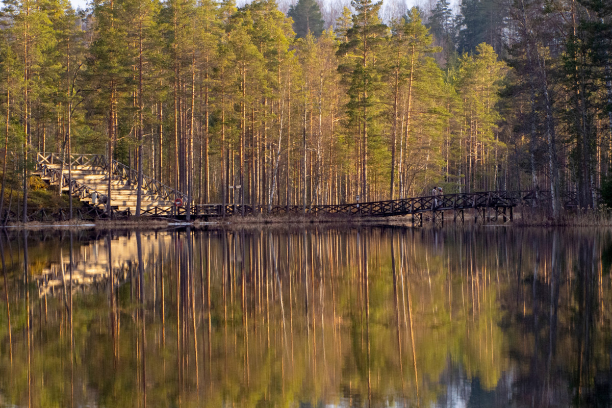 Pyhäveden Katiskalahden rannassa odottavat metsäiseen rinteeseen rakennetut penkit. Kuva: Eero Kantola