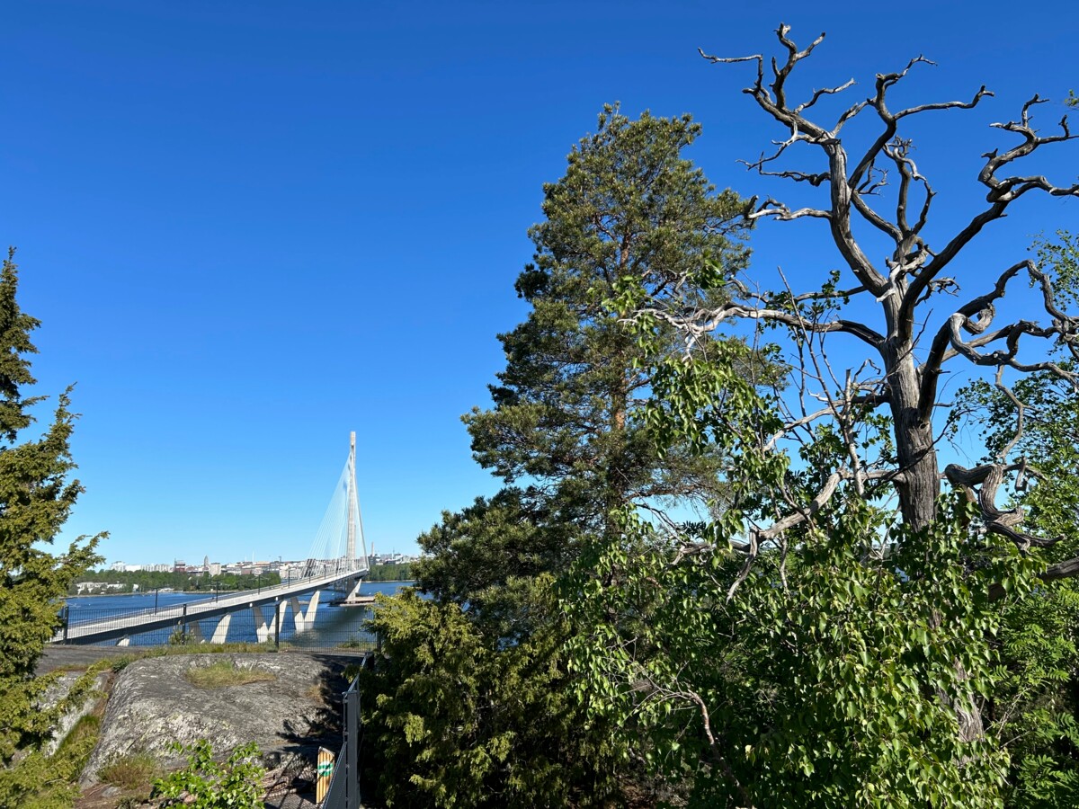 Kruunuvuoren kalliolta lähtee pitkospuu- ja porrasreitti metsään.