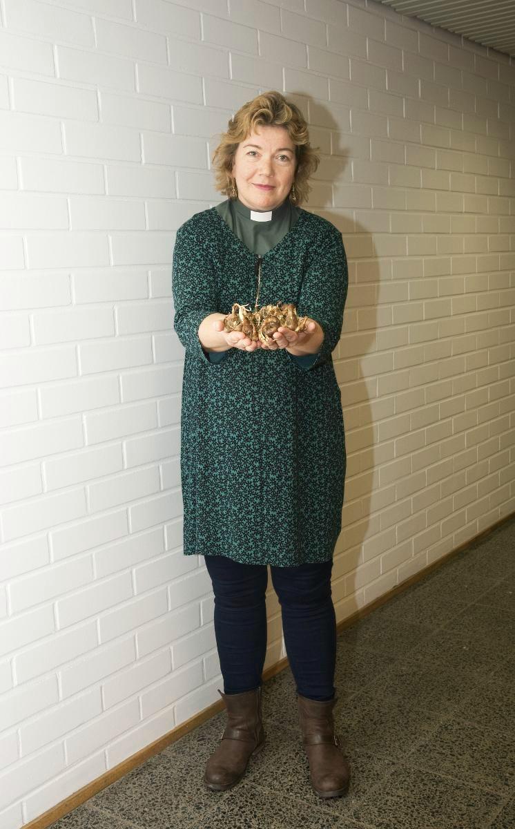 Kuva: Marianna Siitonen