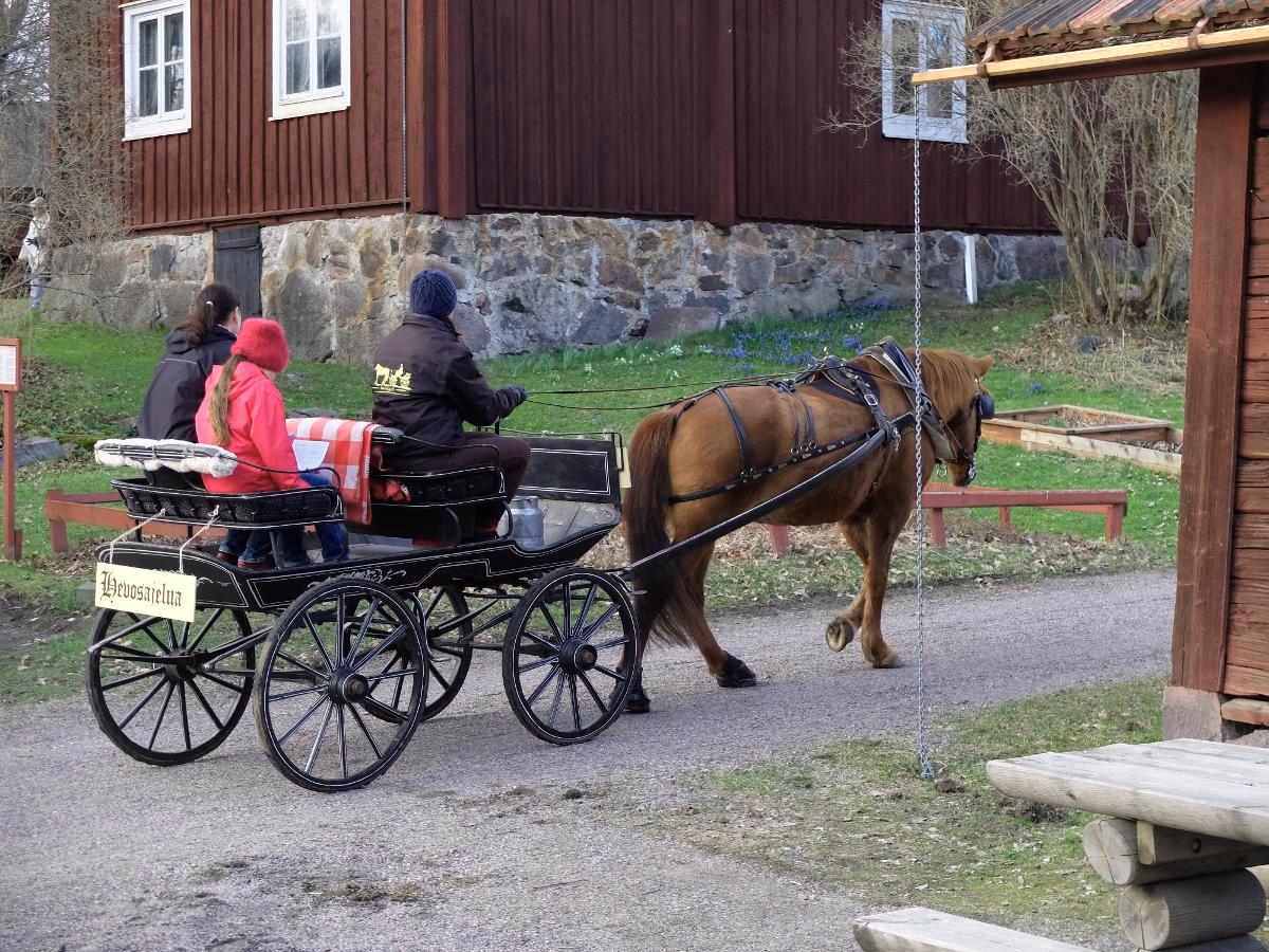 Glimsin uuden näyttelyn avajaispäivänä pääsi hevosajelulle. Kuva: Merja Räty