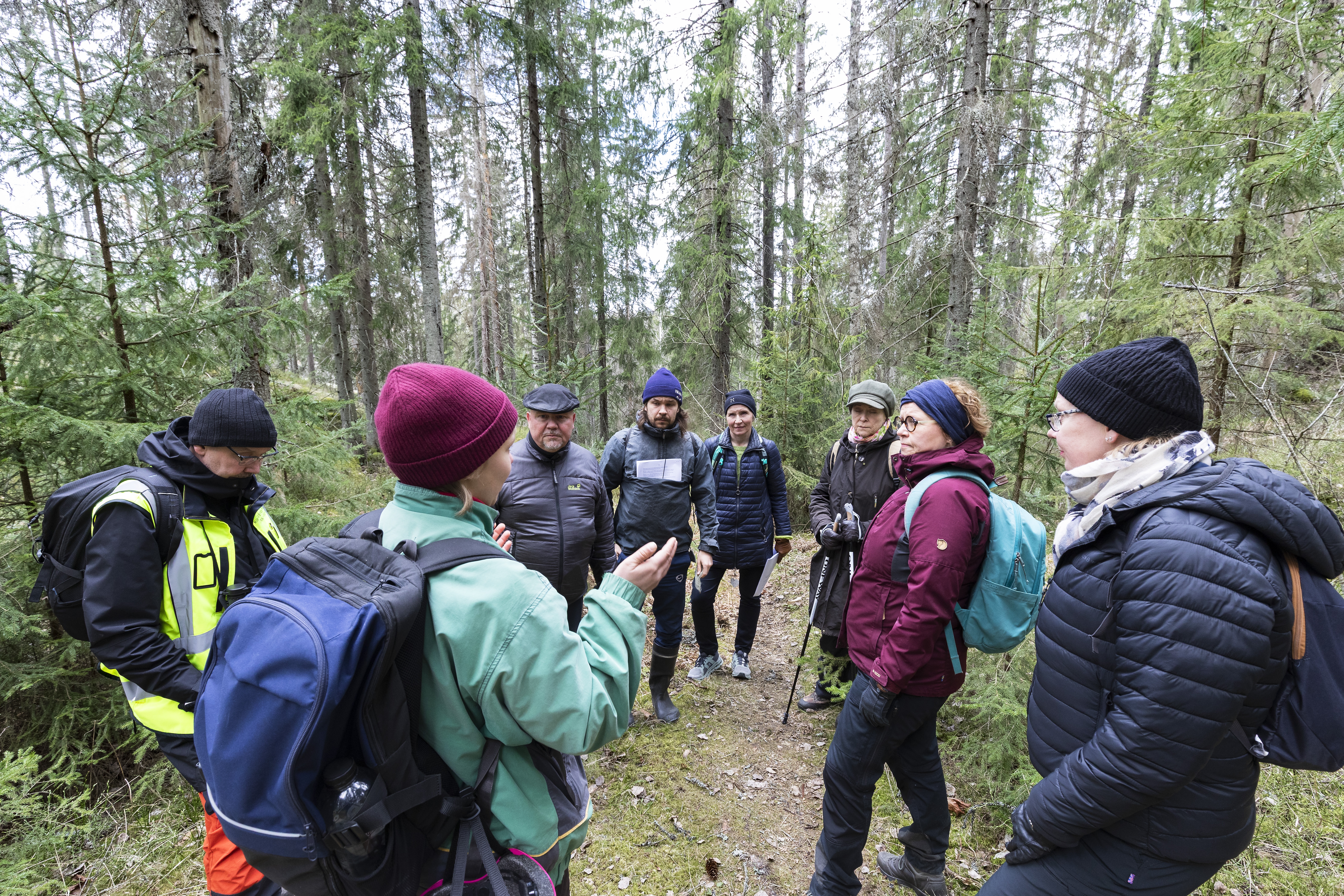 Metsävierailulle 28.4. osallistuivat Mikael Wilén (vas.), Ida Korhonen (selin), Petteri Leinonen, Otto Snellman, Meri Löyttyniemi, Kristiina Mod, Kaisamari Hintikka ja Päivi Raunu.