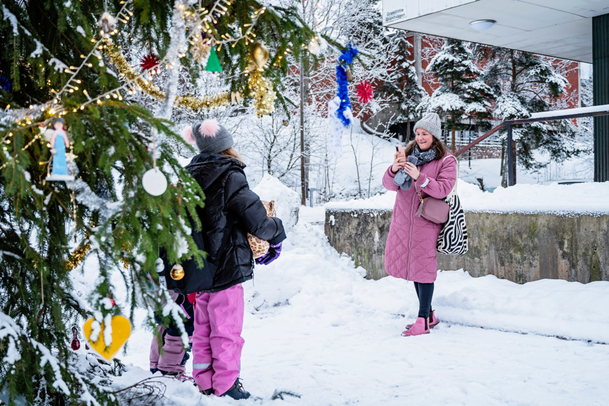 Liisa Pajula oli sitä mieltä, että kuusi oli alueen näköinen ja otti kuvan lapsistaan Rauha-kuusen edessä. Lapset olivat tuoneet kuuseen koristeita aiemmin. 