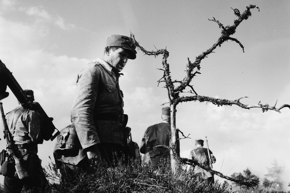Edvin Laineen Tuntemattoman sotilaan filmatisoinnissa alussa sotamies Vanhala (Leo Riuttu) asettaa kaatuneen haudalle haarautuneen oksan ristiksi.