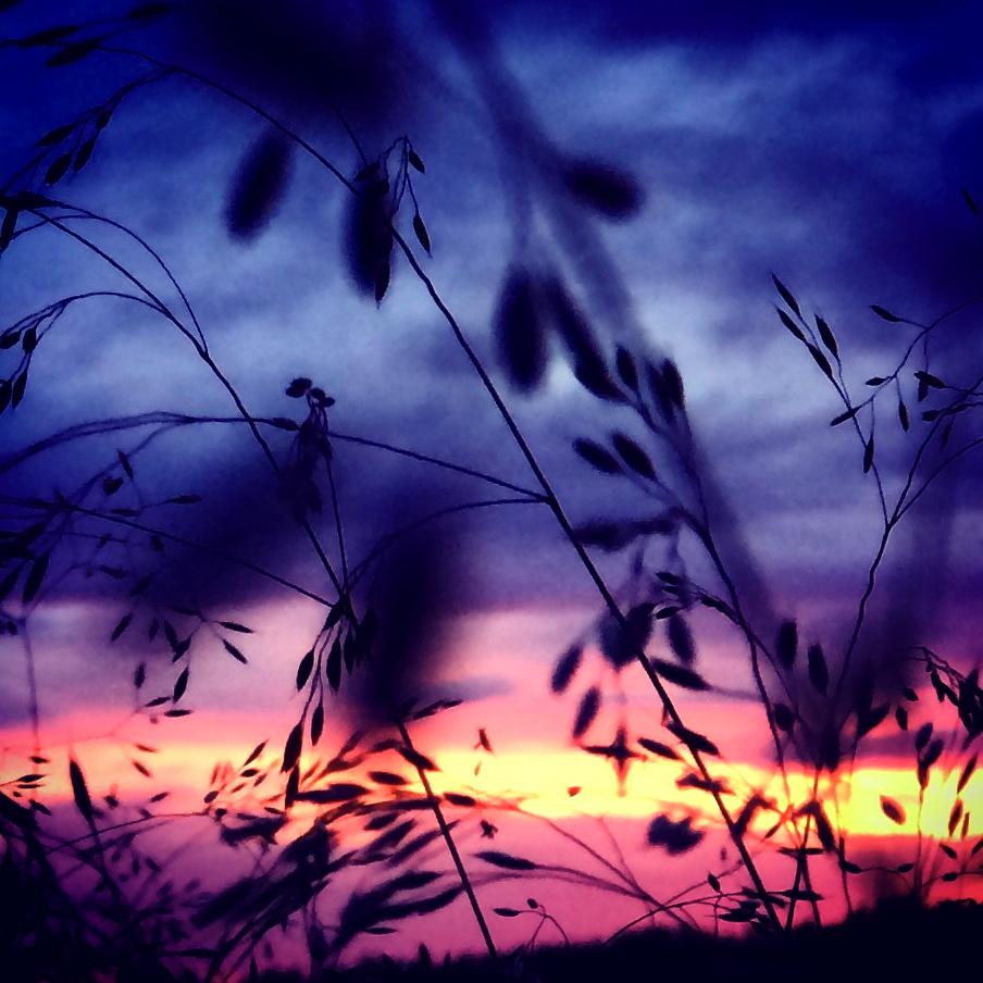 Uskallanko havahtua? Ajatuspinttymät sulkevat helposti mielen ovia.