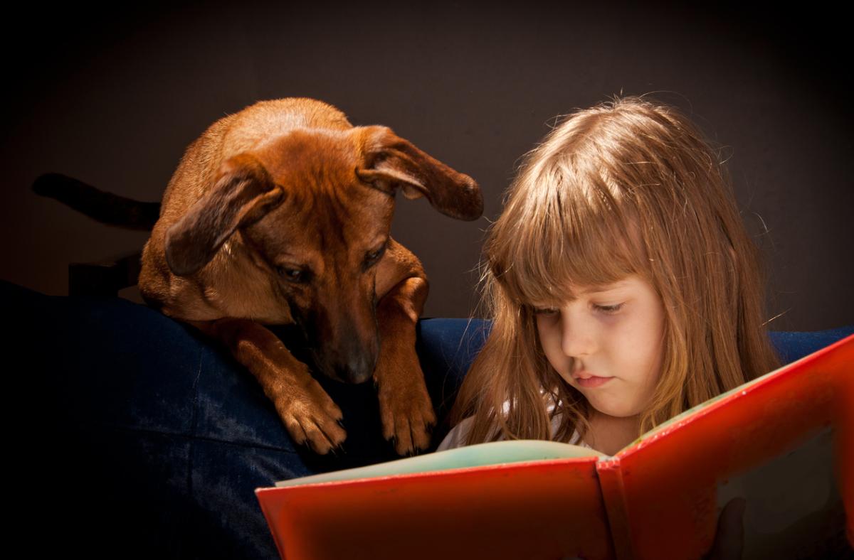 Lukukoirat ovat tavattavissa useissa kirjastoissa. Lukukoiralle voi lukea kirjaa omaan tahtiin rauhallisessa paikassa. Koira on hyvä kuuntelija.