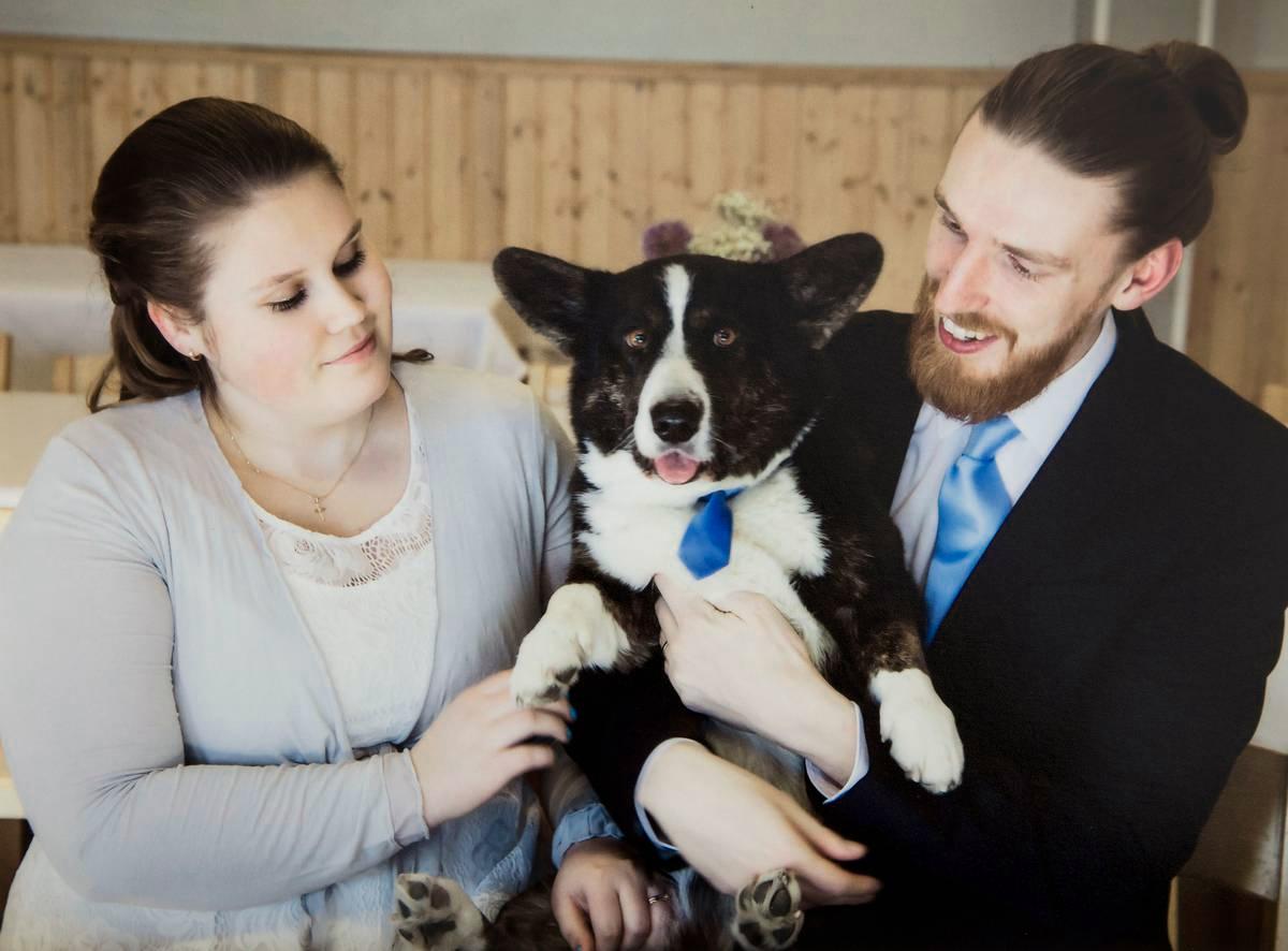 Sanni ja Oskari Johansson menivät naimisiin helmikuussa. Mukana häissä oli myös Pepe-koira. Kuva: Julia Blomqvist.