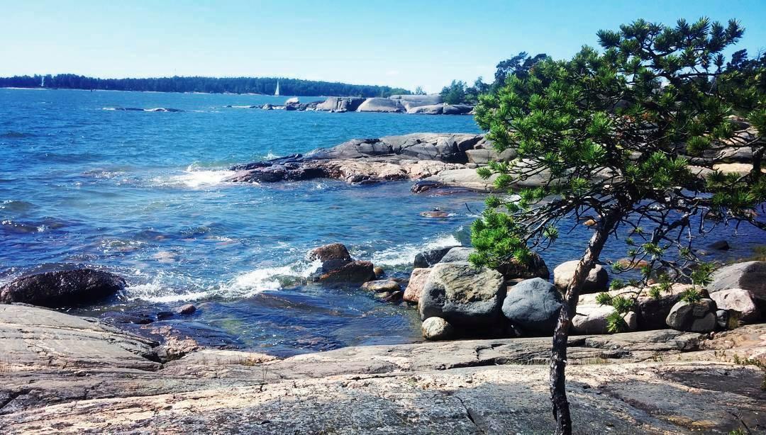 Monipuolinen luonto, hyvät palvelut ja tiheät lauttayhteydet ovat tehneet Pihlajasaaresta helsinkiläisten suosituimman kesäsaaren. Kuva Pihla Tiihonen.