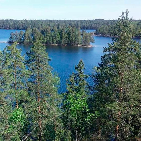 Kolin kansallismaisemia muistuttavat näkymät avautuvat Meiko-järvelle Kirkkonummella. Kirkasvetisen järven voi kiertää 8,3-kilometristä viitoitettua polkua, jolla on tulentekopaikkoja. Kuva Pihla Tiihonen.