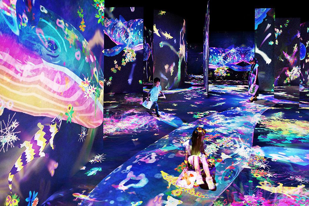 Amos Rexin avajaisnäyttelystä vastaa tokiolainen taiteiljakollektiivi teamLab, joka täyttää museon näyttelytilat digitaalisella taiteellaan. Graffiti Nature: Lost, Immersed and Reborn -teoksen seinätaide reagoi tilan käyttäjien toimintaan.