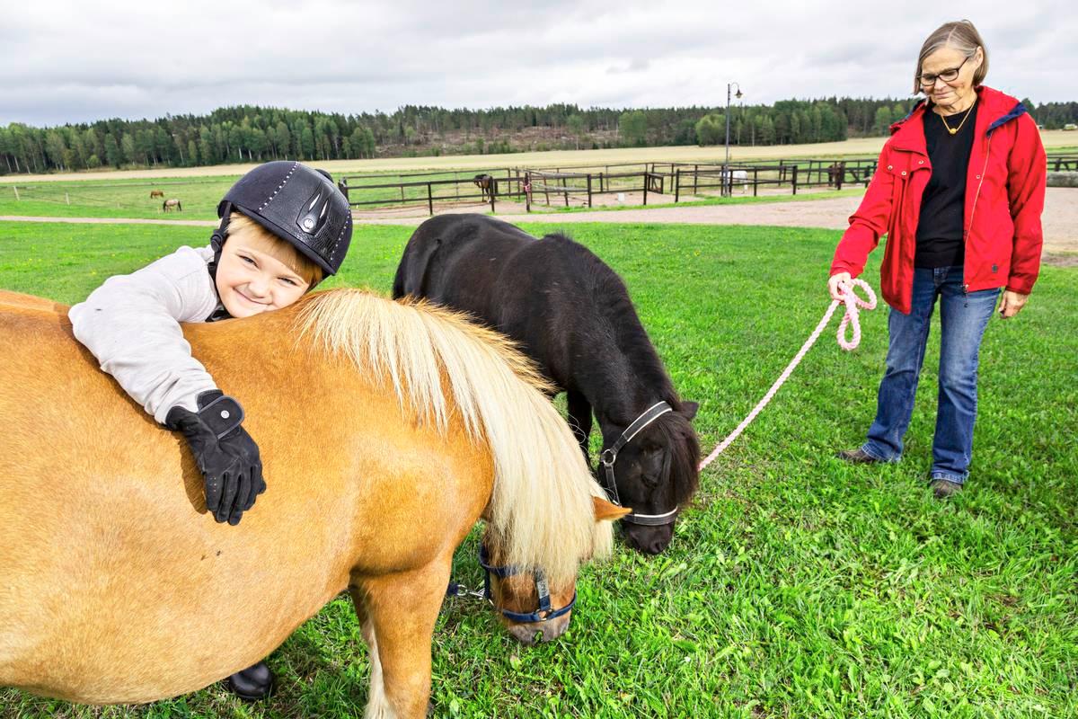 Shetlanninponi Sampo saa halauksen Mindy Narvolta. Annukka Wikner tuo ponit Sampon ja Villen SyysMatin Markkinoille Espooseen lasten silitettäväksi.