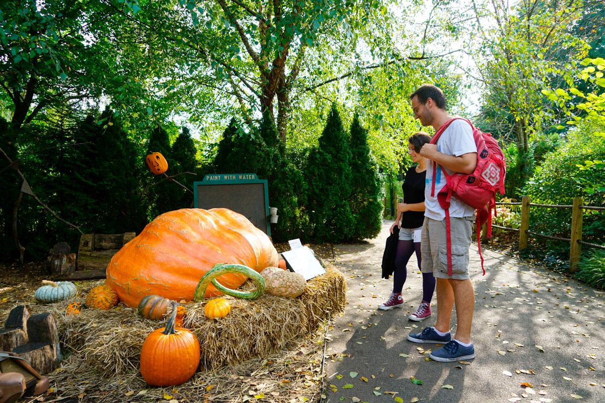 Yli 635 kiloa painava jättiläiskurpitsa leveilee New Yorkin kasvitieteellisen puutarhan väliaikaisessa kummituskurpitsapuistossa. Halloween-juhlan ajaksi avatussa kummituskurpitsapuistossa on toista sataa erilaista variksenpelätintä ja tuhat poikkeuksellista kurpitsaa.  Halloweenia vietetään anglosaksisessa kulttuurissa pyhäinpäivän aattona. Sen juuret ovat muinaisten kelttien sadonkorjuujuhlassa. Vanhan käsityksen mukaan tämän- ja tuonpuoleisen raja hämärtyy luonnon kuihtuessa ja lehtien varistessa. Silloin vainajahenget tulevat houkuttelemaan ihmisiä rajan toiselle puolelle. Niitä on karkotettu kokkotulilla, soihduilla ja lyhdyillä.