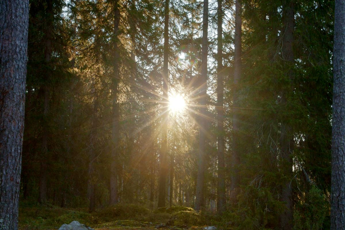 Vainajien hautauksessa on otettu huomioon auringonnousun suunnat jo pitkään.