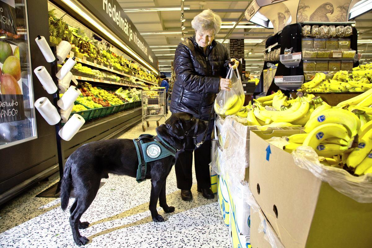 Tuoksujen keskellä. Seija Uimonen ja Milo ostoksilla. Ruokakauppa on Milon lempipaikkoja. Milo tarkoittaa kroatian kielessä Armasta. Kuva: Sirpa Päivinen