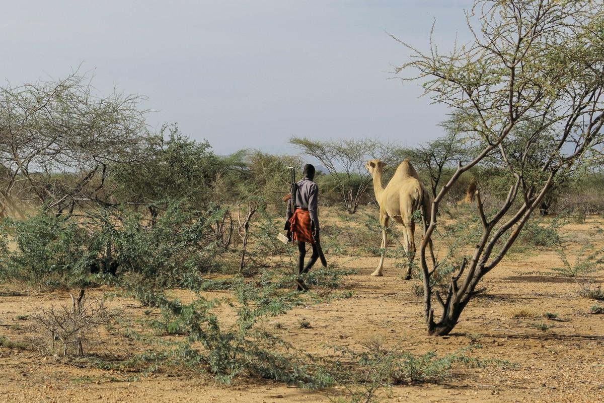 Aseiden määrä on lisääntynyt Kenian Turkanassa muun muassa rajanaapuri Etelä-Sudanin sisällissodan takia. Jotkut paimenet kantavat aseita suojautuakseen varkailta.