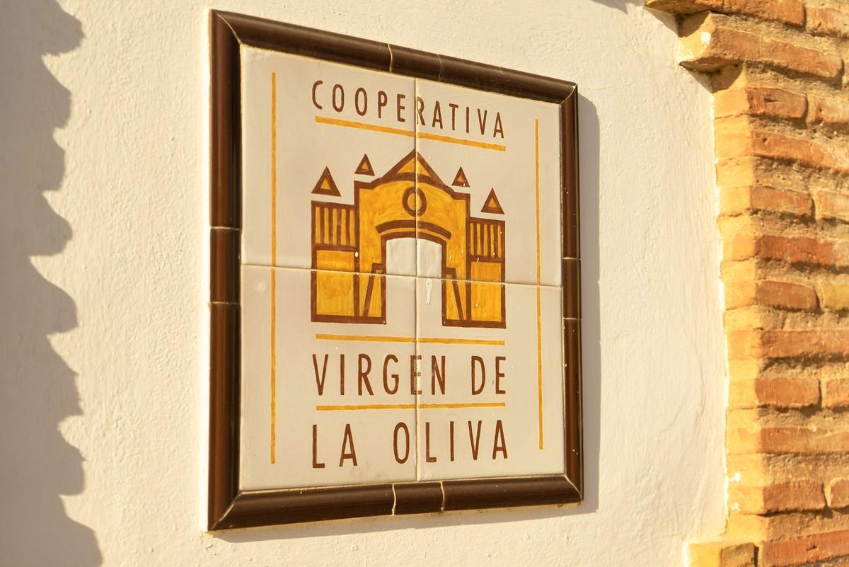 Virgen de la Oliva -osuuskunnassa tuotetaan viinejä ja oliiviöljyä.