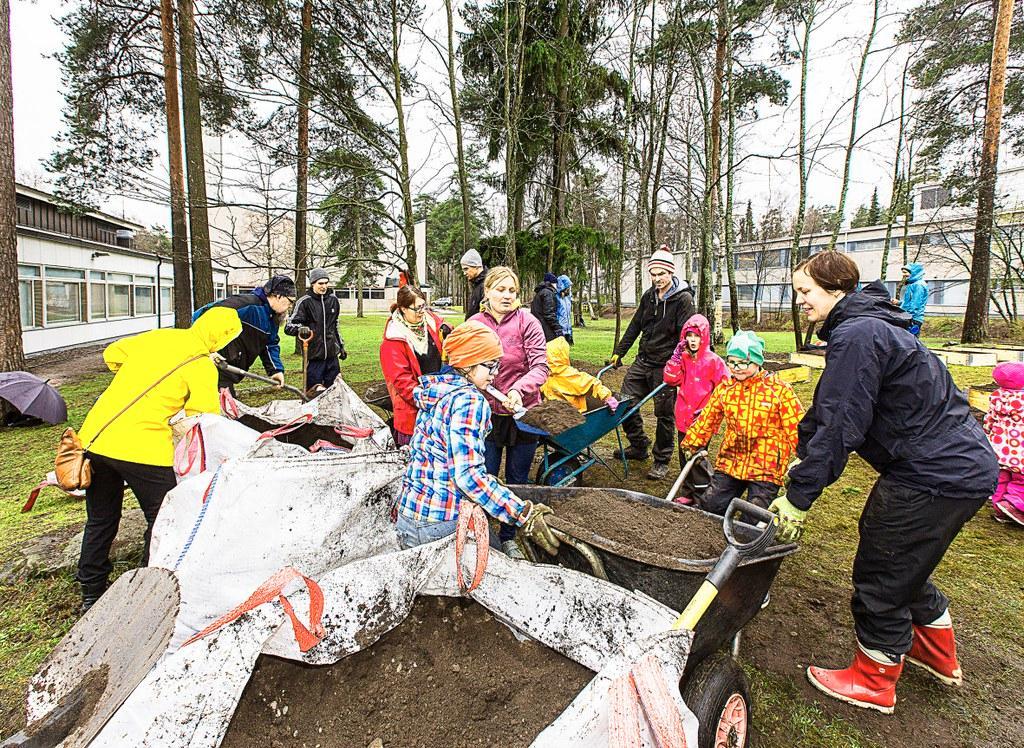 Kevättöitä. Talkoolaiset halusivat siemenet ripeästi kasvamaan Munkkiniemen kirkon pihan viljelylaatikkoihin. Sanna-Riikka Saarela oikealla annosteli lasten kanssa multaa. Sini Suomalainen on lapionvarressa lilassa hupparissa. Kottikärryjä työntävä Antti Tuomola valkoisessa tupsulakissa hoiti välillä arvokuljetuksia.