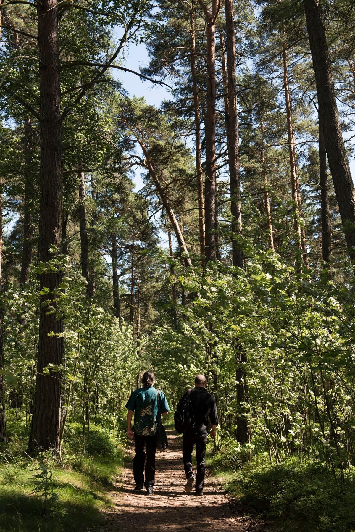 Itä-Helsinki on myös metsää ja merta. Äijäkävely vei Stansvikin niemeen.