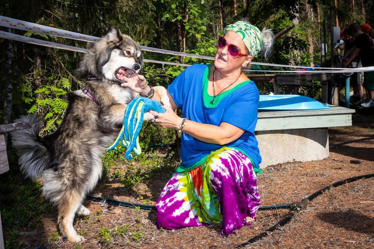 Purolan keittäjällä Sikke Kyyhkysellä on mukanaan lapinkoira Pulle, josta koulutetaan leirikoiraa. Lapset saavat silittää Pullea, jos esimerkiksi koti-ikävä yllättää.