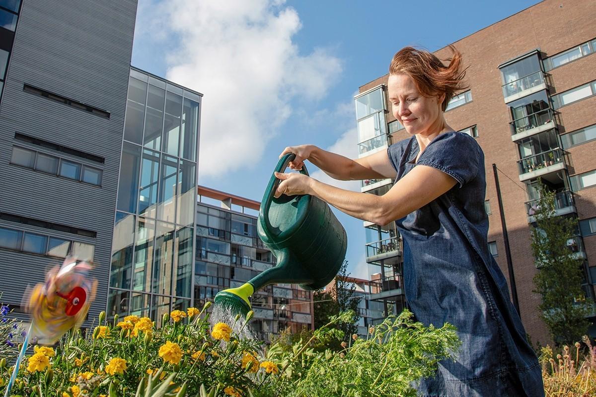 Anne Tiermas hankki viljelylaatikot kotikerrostalonsa läheltä Helsingin Arabianrannasta, koska hänen poikansa tahtoo kasvattaa ruokaa.